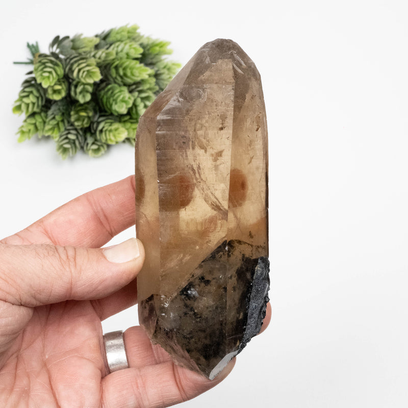 Citrine Crystal 450 g 130x54mm w/ Black Tourmaline