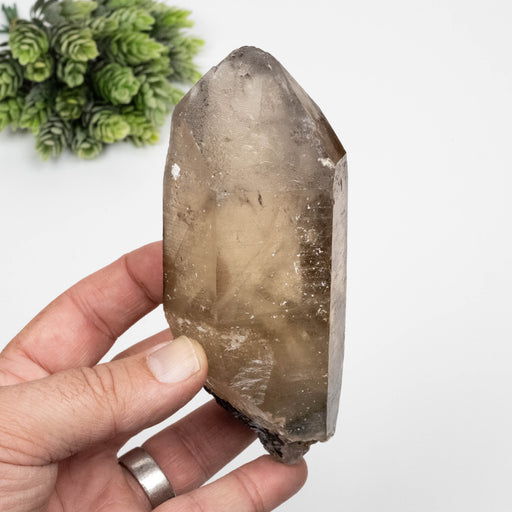 Citrine Crystal 450 g 130x54mm w/ Black Tourmaline - InnerVision Crystals