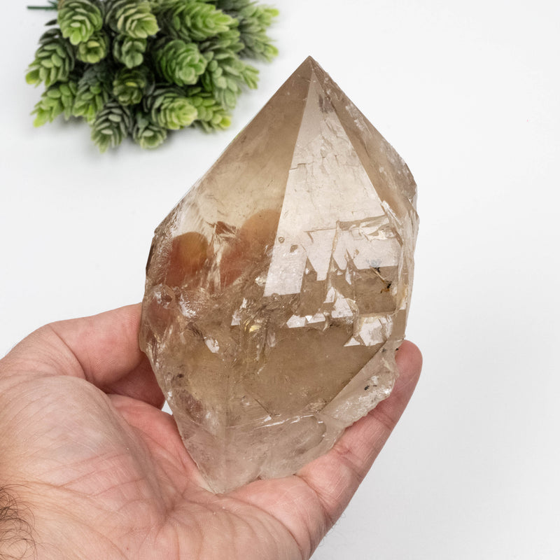 Citrine Crystal 662 g 135x82mm
