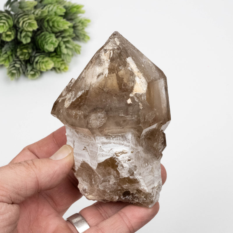 Citrine Crystal 560 g 108x74mm Scepter