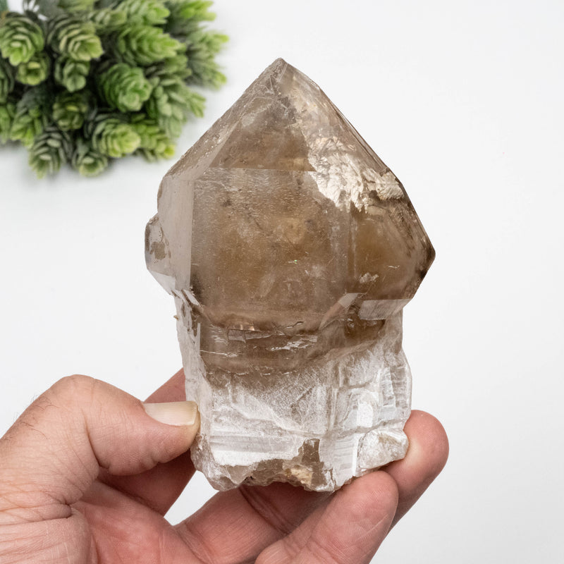 Citrine Crystal 560 g 108x74mm Scepter