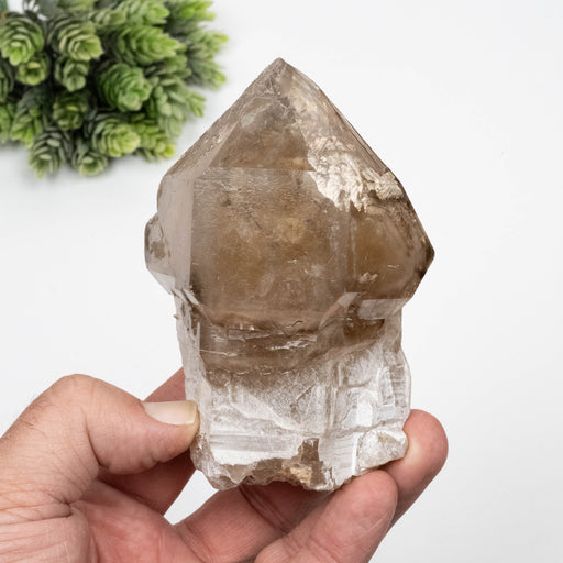 Citrine Crystal 560 g 108x74mm Scepter - InnerVision Crystals