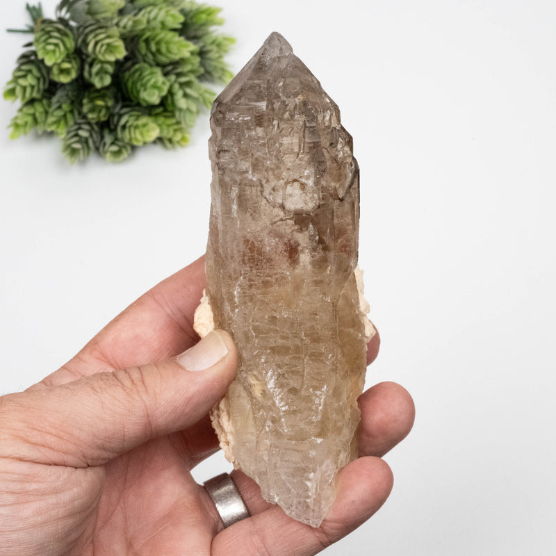 Citrine Crystal 324 g 138x48mm Elestial