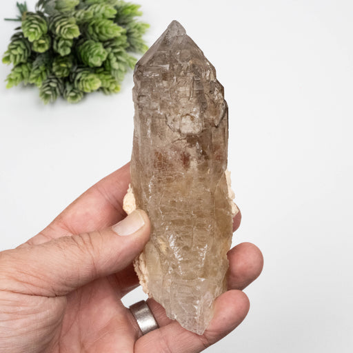 Citrine Crystal 324 g 138x48mm Elestial - InnerVision Crystals