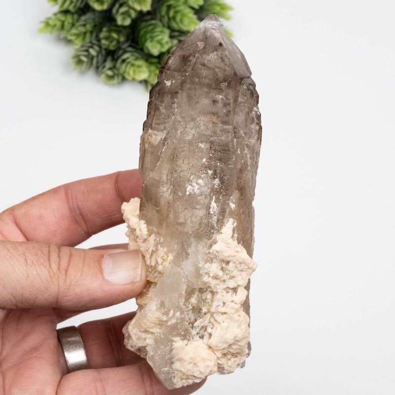 Citrine Crystal 324 g 138x48mm Elestial