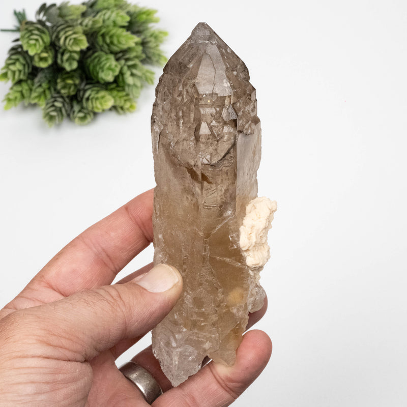 Citrine Crystal 324 g 138x48mm Elestial