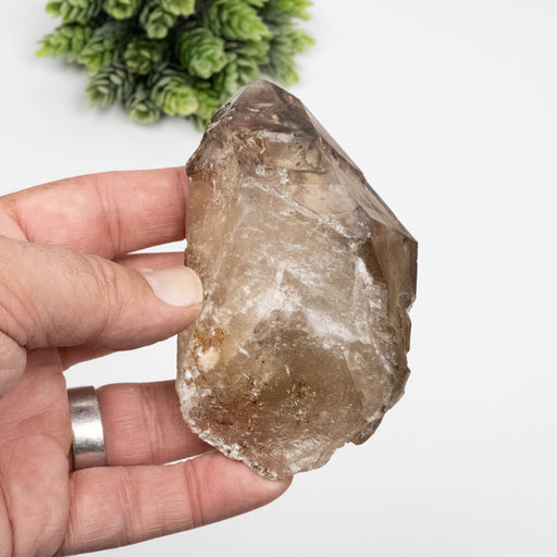 Citrine Crystal 232 g 98x58mm - InnerVision Crystals
