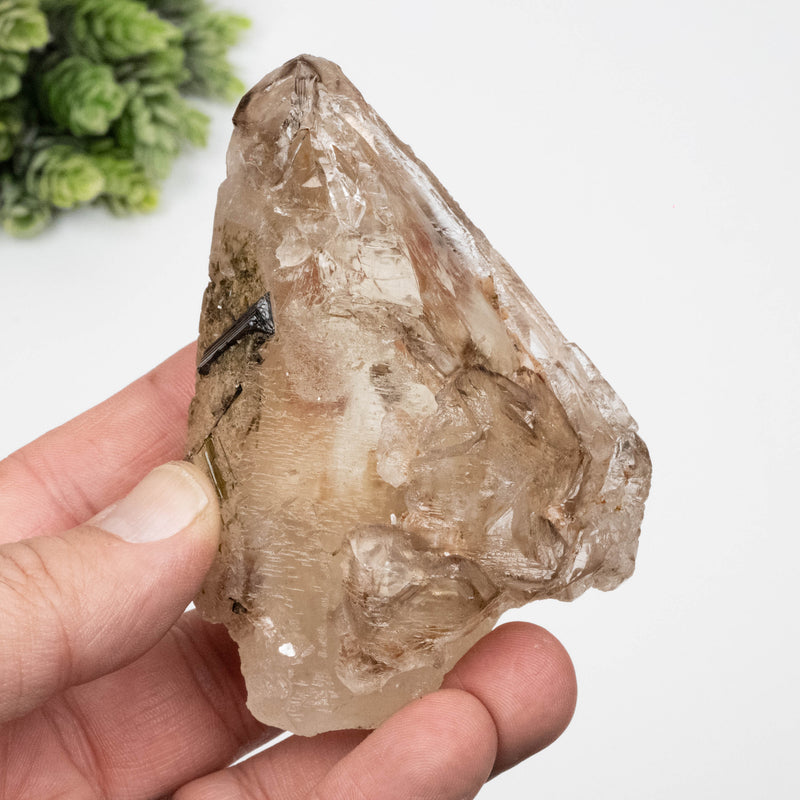 Citrine Crystal 259 g 85x67mm Skeletel w/ Tourmaline