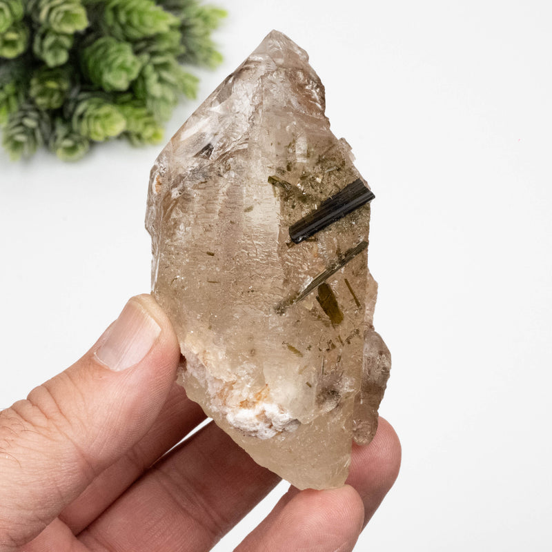 Citrine Crystal 259 g 85x67mm Skeletel w/ Tourmaline