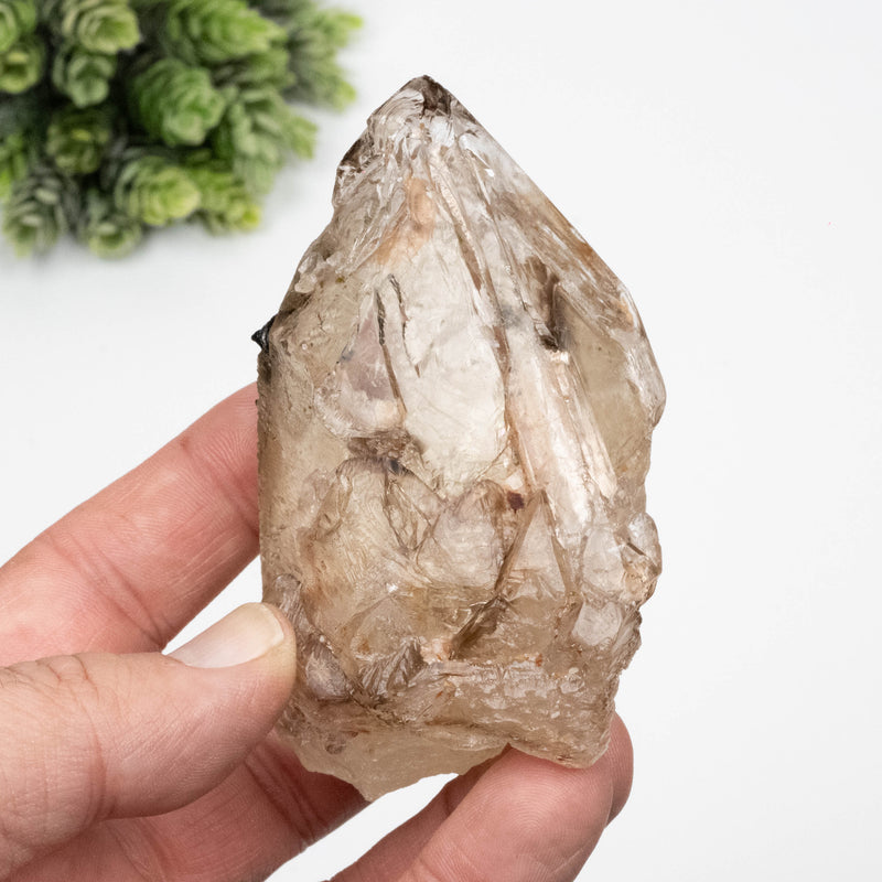 Citrine Crystal 259 g 85x67mm Skeletel w/ Tourmaline