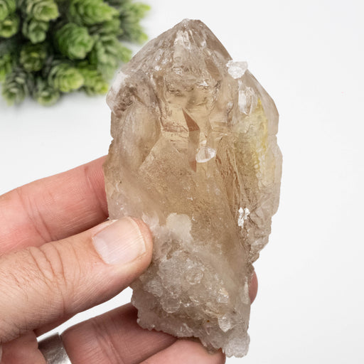 Citrine Crystal 228 g 106x53mm - InnerVision Crystals