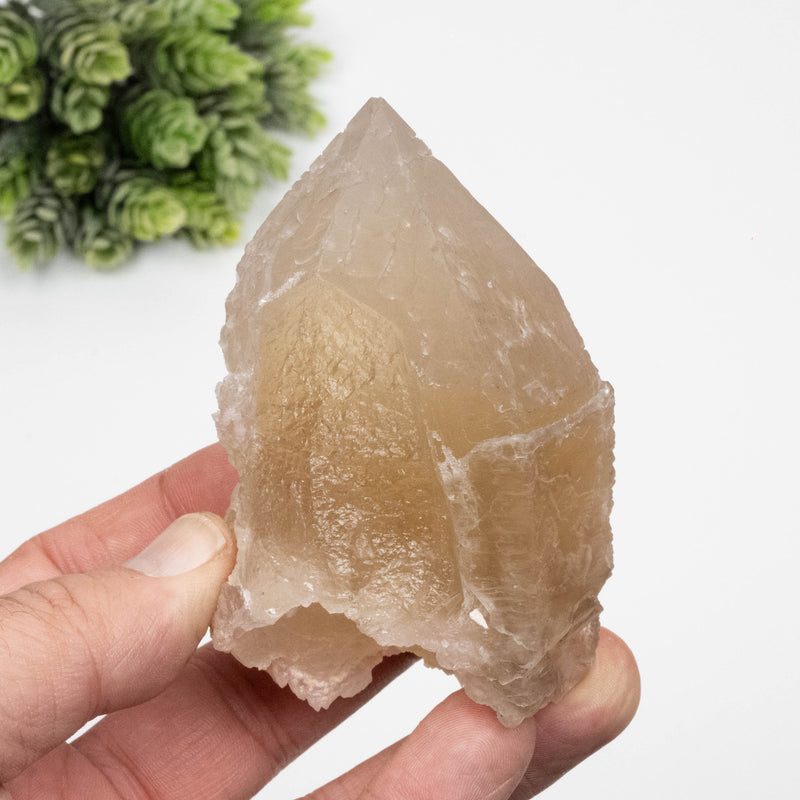 Citrine Crystal 285 g 89x56mm