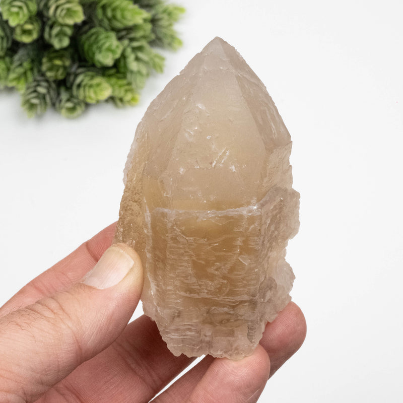 Citrine Crystal 285 g 89x56mm