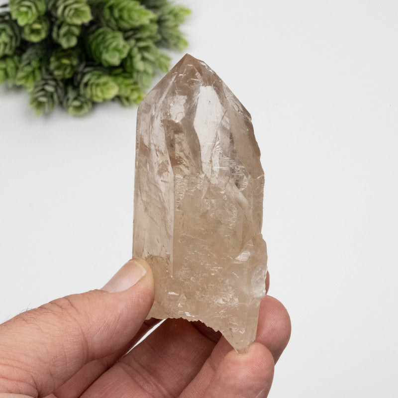Citrine Crystal 177 g 84x53mm Self Healed