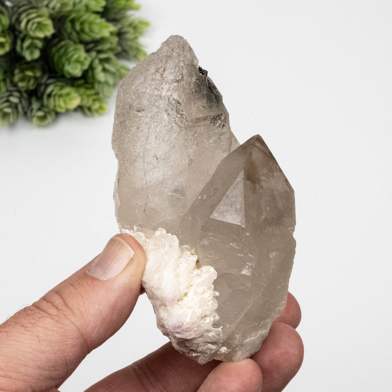 Smoky Quartz Crystal 274 g 97x60 w/ Tourmaline