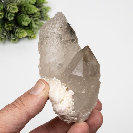 Smoky Quartz Crystal 274 g 97x60 w/ Tourmaline - InnerVision Crystals