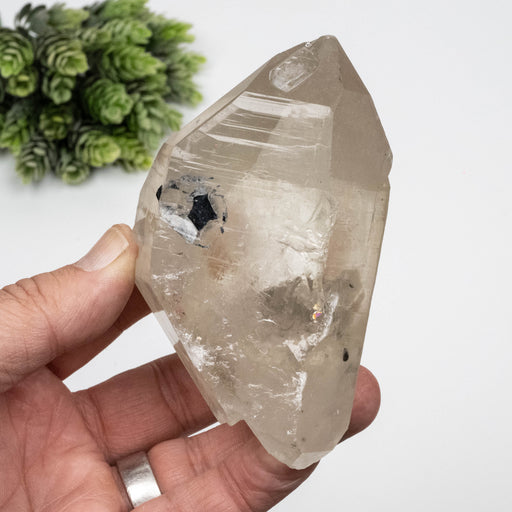 Smoky Quartz Crystal 368 g 104x61mm DT w/ Tourmaline - InnerVision Crystals