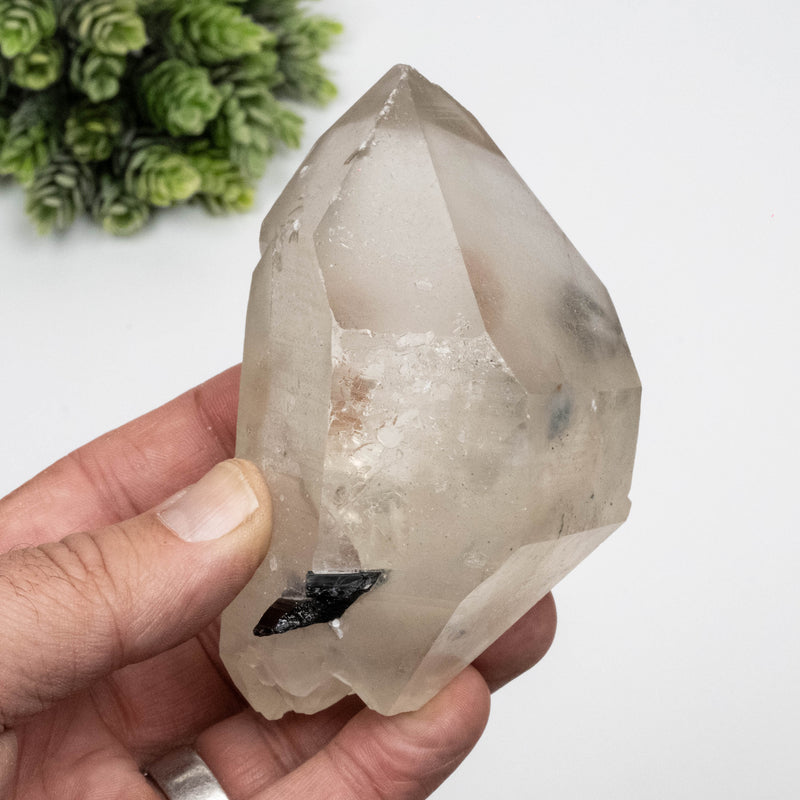 Smoky Quartz Crystal 368 g 104x61mm DT w/ Tourmaline