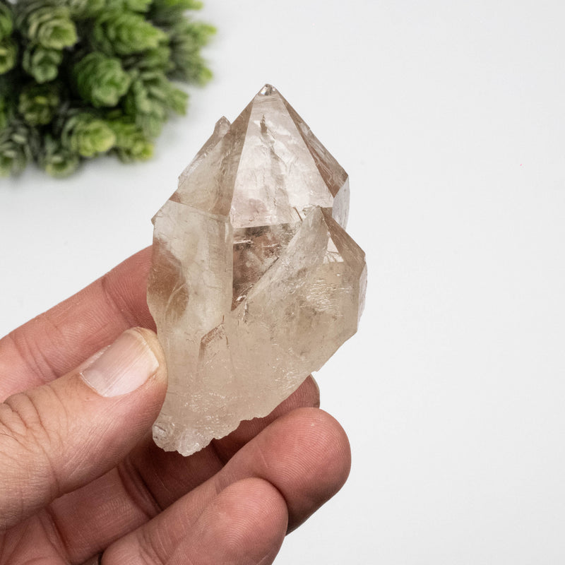 Smoky Quartz Crystal 132 g 74x49mm Elestial