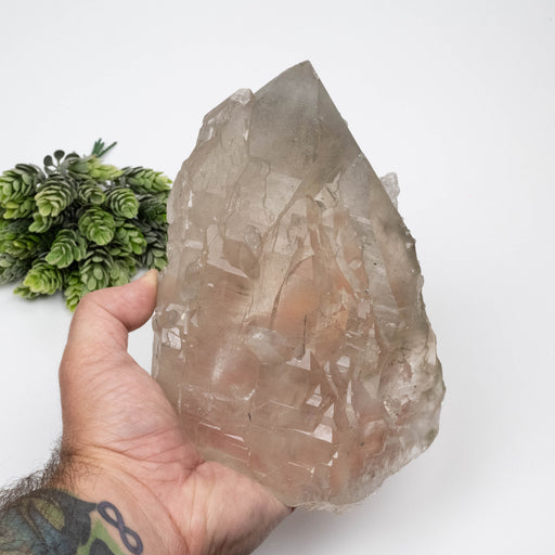 Smoky Quartz Crystal 1784 g 185x126mm Elestial w/ Tourmaline - InnerVision Crystals