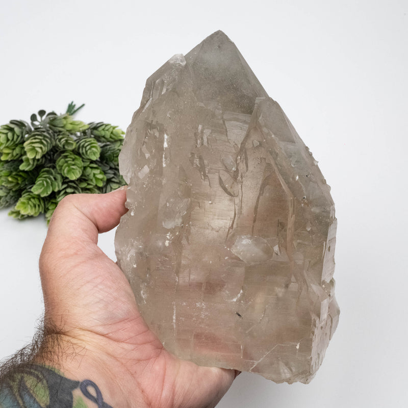 Smoky Quartz Crystal 1784 g 185x126mm Elestial w/ Tourmaline