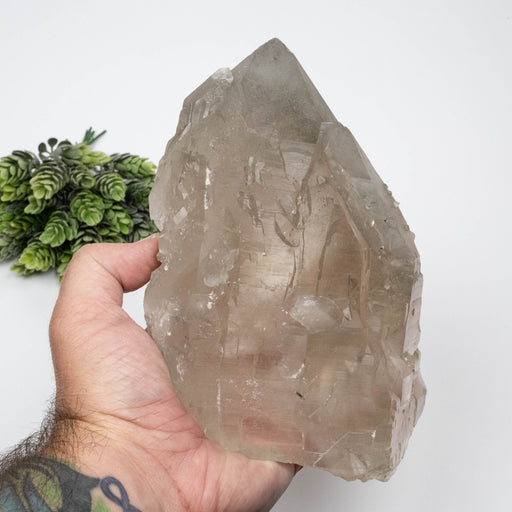 Smoky Quartz Crystal 1784 g 185x126mm Elestial w/ Tourmaline - InnerVision Crystals