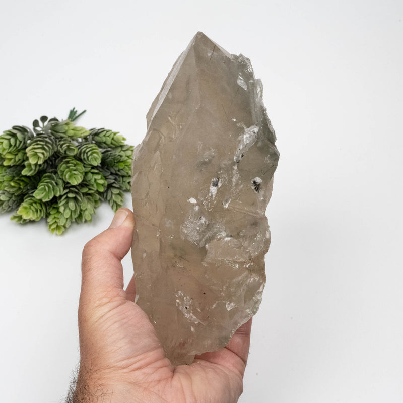 Smoky Quartz Crystal 1784 g 185x126mm Elestial w/ Tourmaline