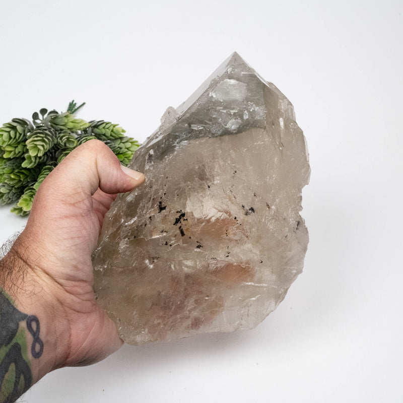 Smoky Quartz Crystal 1784 g 185x126mm Elestial w/ Tourmaline
