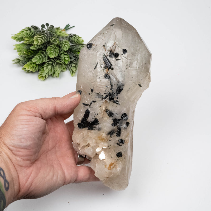Smoky Quartz Crystal 1282 g 203x85mm w/ Black Tourmaline
