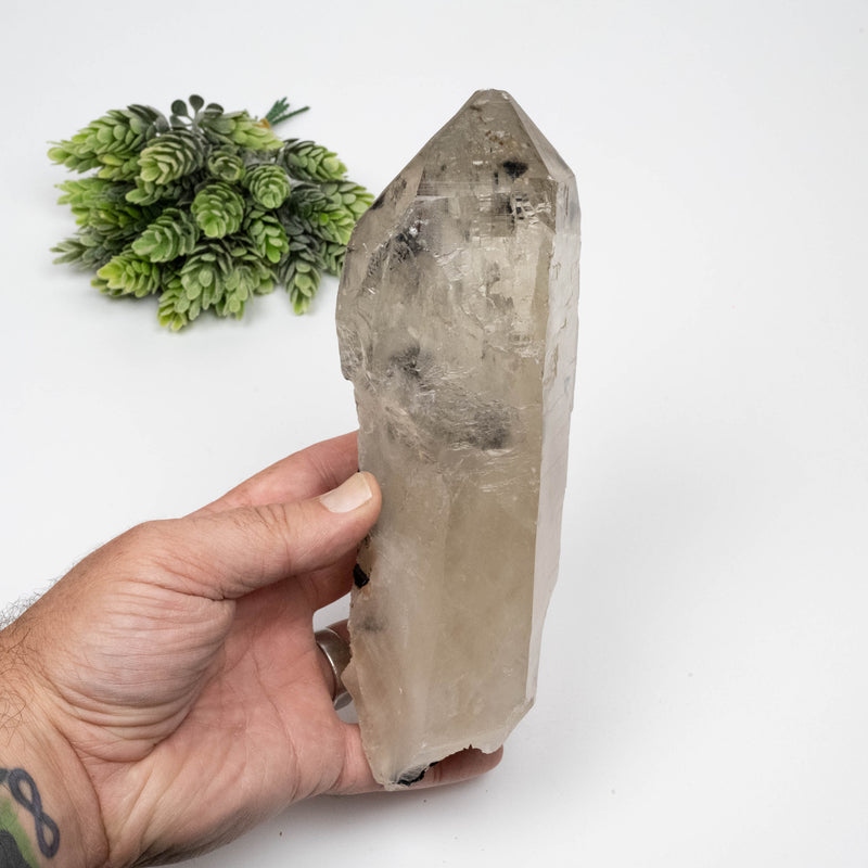 Smoky Quartz Crystal 1282 g 203x85mm w/ Black Tourmaline