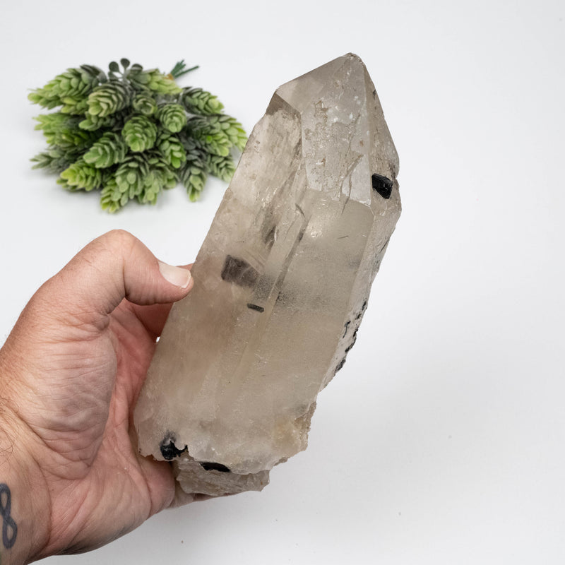 Smoky Quartz Crystal 1282 g 203x85mm w/ Black Tourmaline