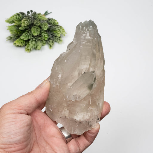 Smoky Quartz Crystal 676 g 140x73mm w/ Dissolved Tourmaline - InnerVision Crystals