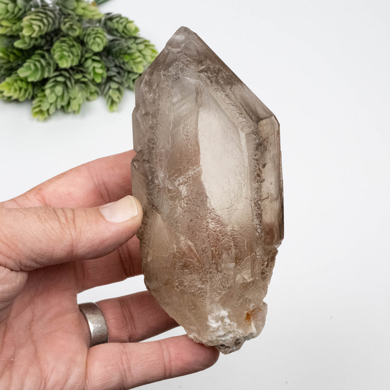 Smoky Quartz Crystal 462 g 137x58mm