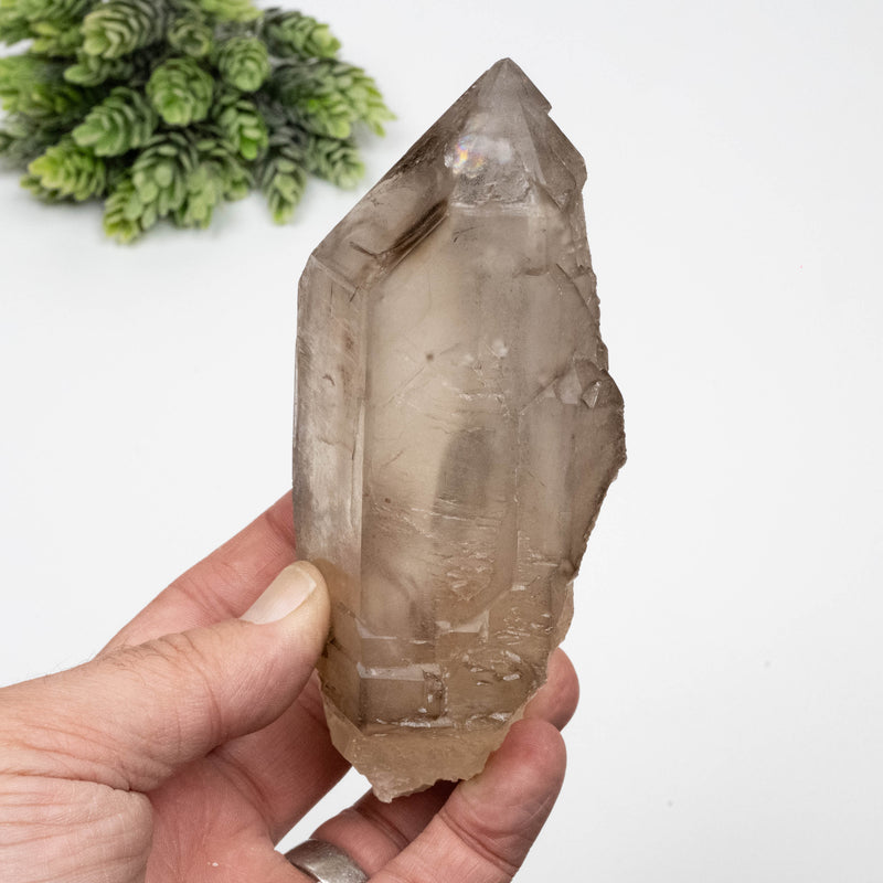 Smoky Quartz Crystal 462 g 137x58mm