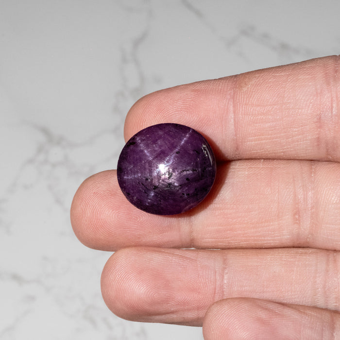 Star Ruby 55.45 ct 21x20mm