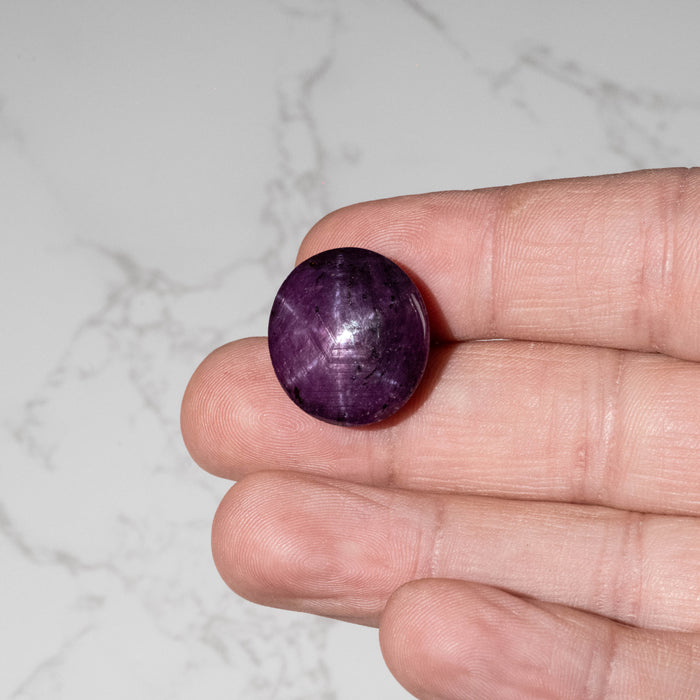 Star Ruby 55.45 ct 21x20mm