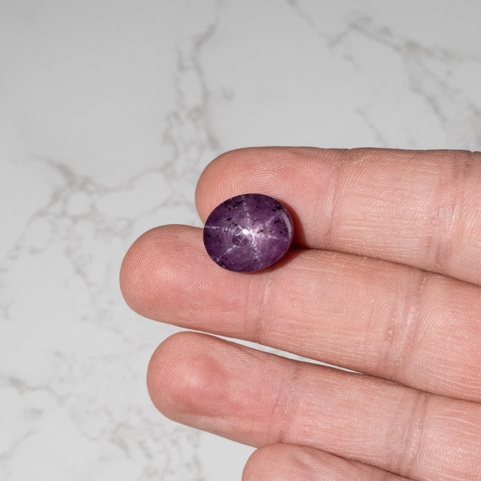 Star Ruby 24.25 ct 16x13mm