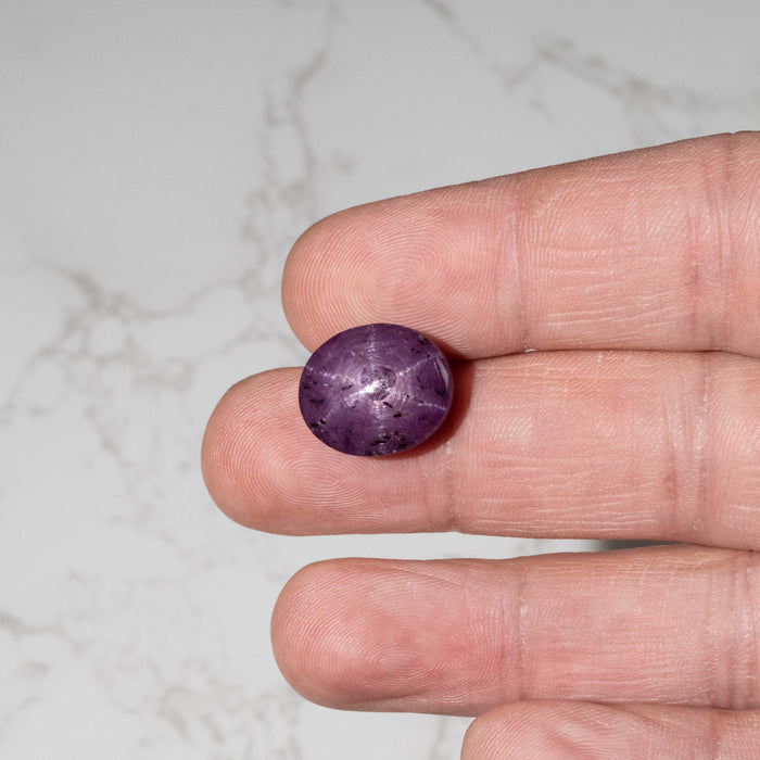 Star Ruby 24.25 ct 16x13mm