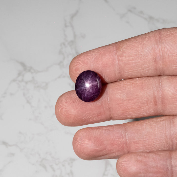 Star Ruby 19.80 ct 15x13mm