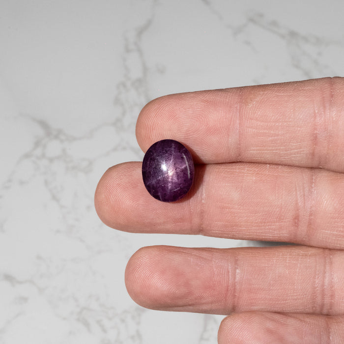Star Ruby 19.80 ct 15x13mm