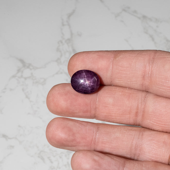 Star Ruby 19.80 ct 15x13mm