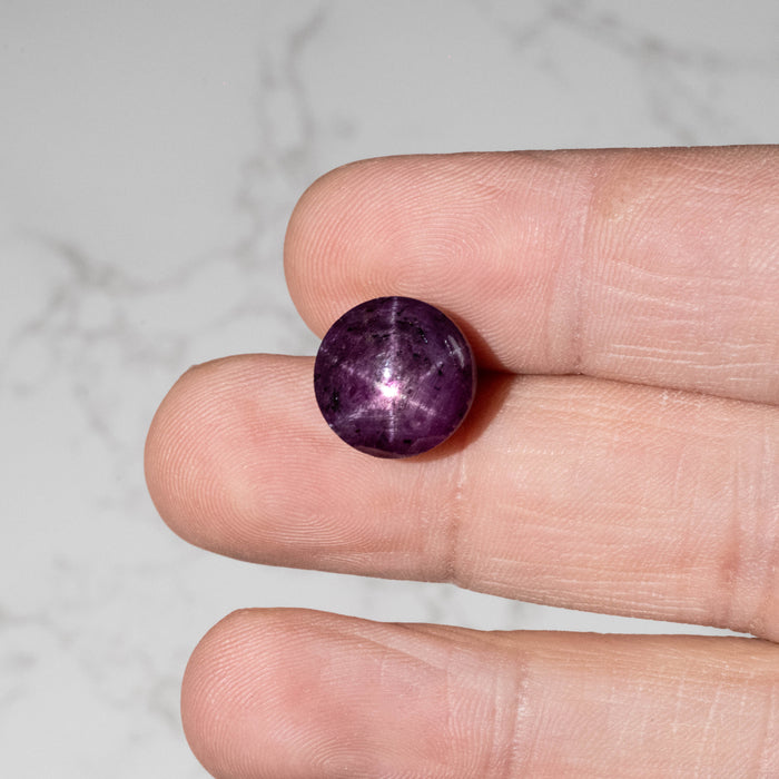 Star Ruby 18.30 ct 13mm
