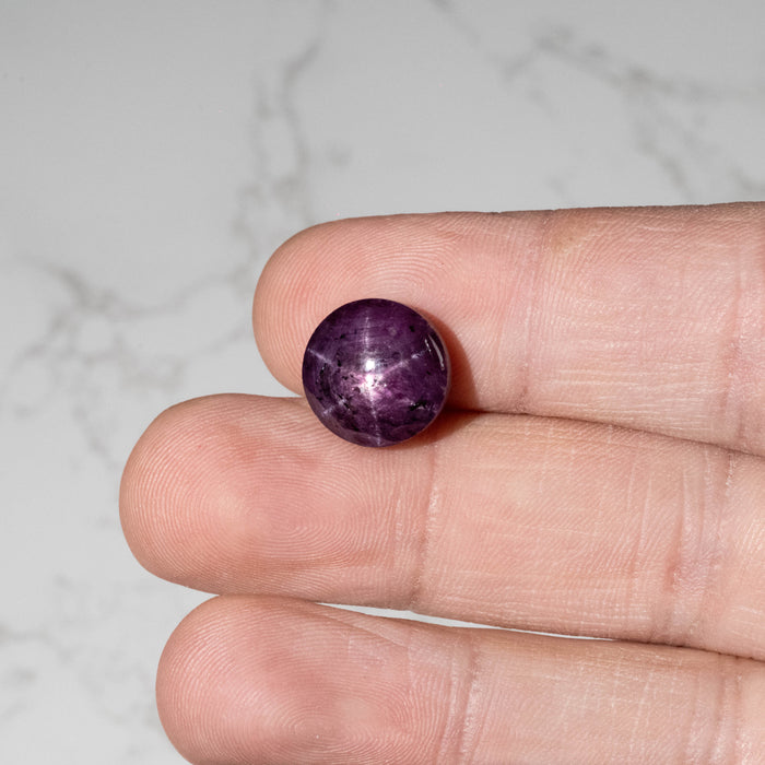 Star Ruby 18.30 ct 13mm