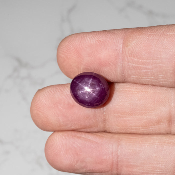 Star Ruby 16.15 ct 14x12mm