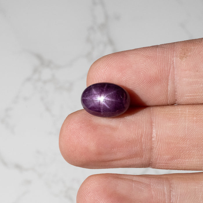 Star Ruby 16.30 ct 15x10mm