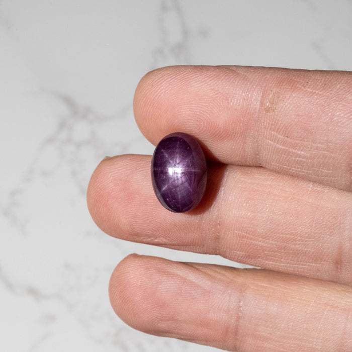 Star Ruby 16.30 ct 15x10mm
