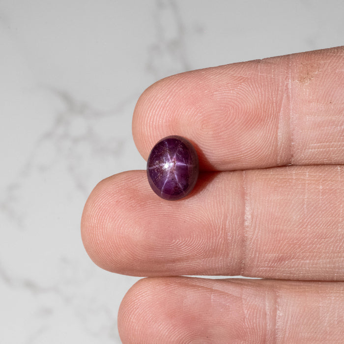 Star Ruby 6.70 ct 11x9mm