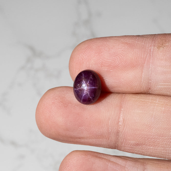 Star Ruby 6.70 ct 11x9mm