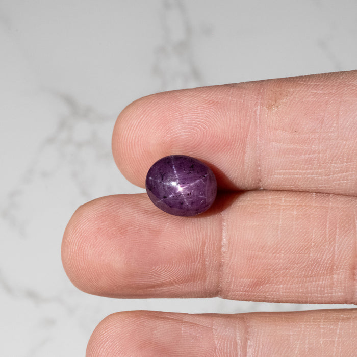 Star Ruby 11.55 ct 12x10mm