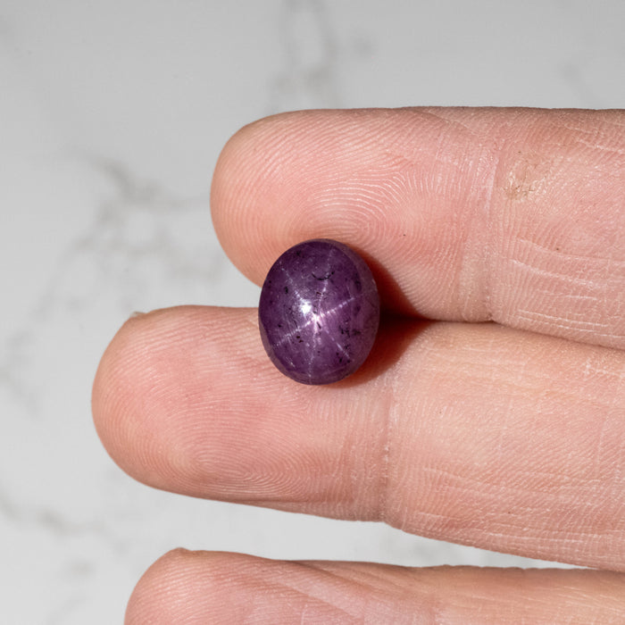 Star Ruby 11.55 ct 12x10mm